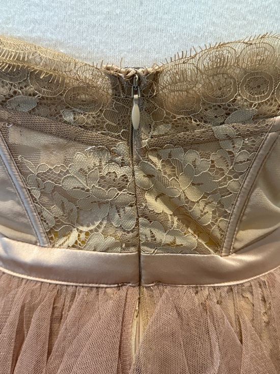 For Love And Lemons x Revolve Bustier Gown